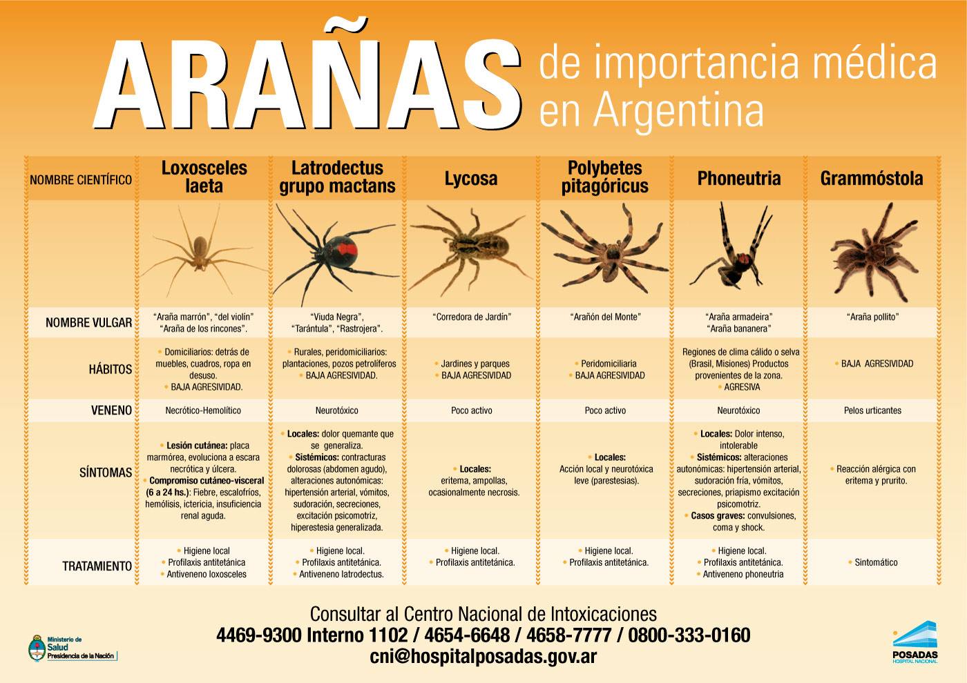  arañas de importancia médica